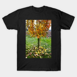 Apple tree in the autumn T-Shirt